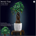 Bonsai Geldbaum Klemmbausteine Bausteine 905 Teile Selbstmontage